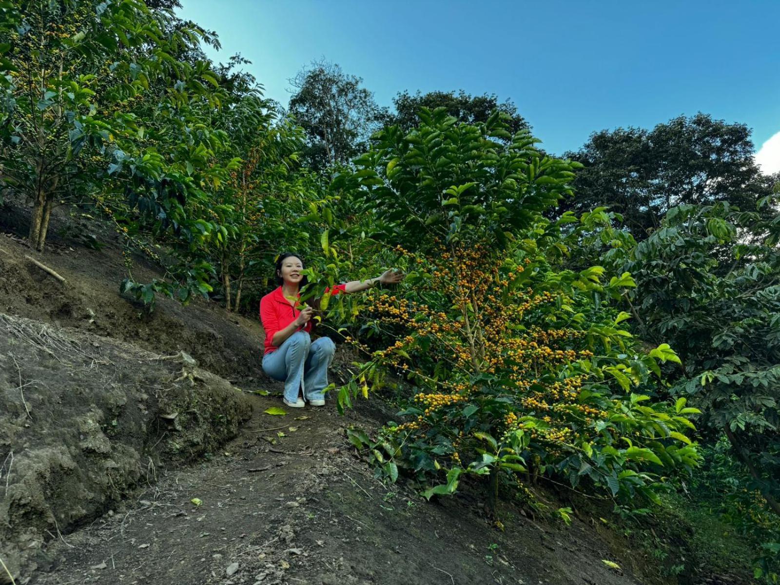 Lia B&B Lucmabamba Sahuayaco Bagian luar foto